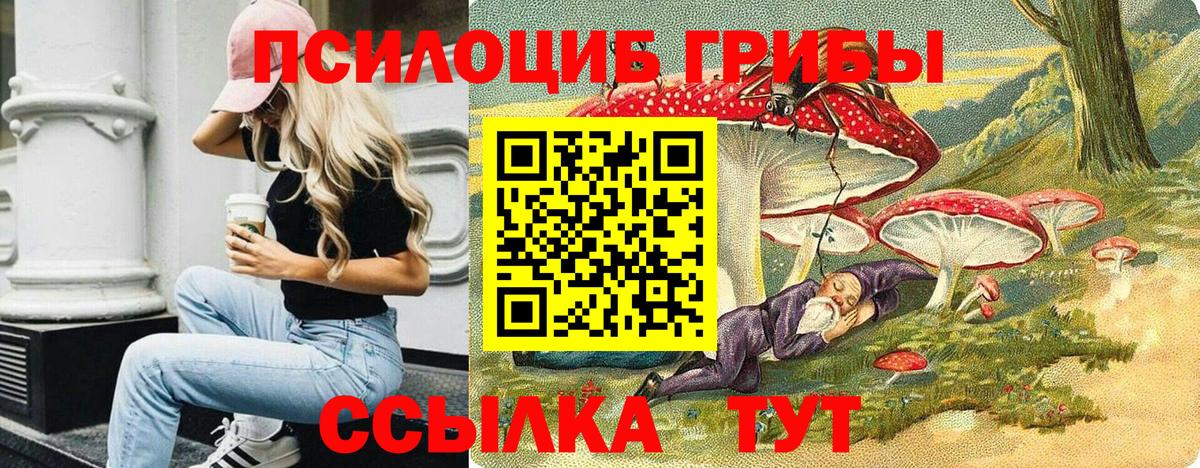цены   Вход с VPN  Краснокаменск  Галлюциногенные грибы мицелий 